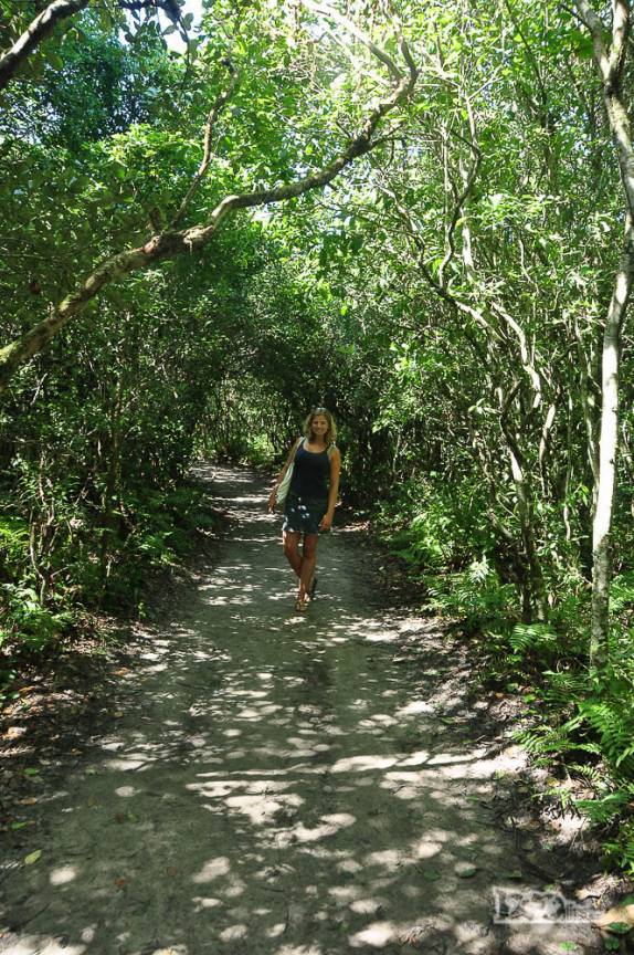 Nas trilhas da Ilha do Mel, no litoral do Paraná